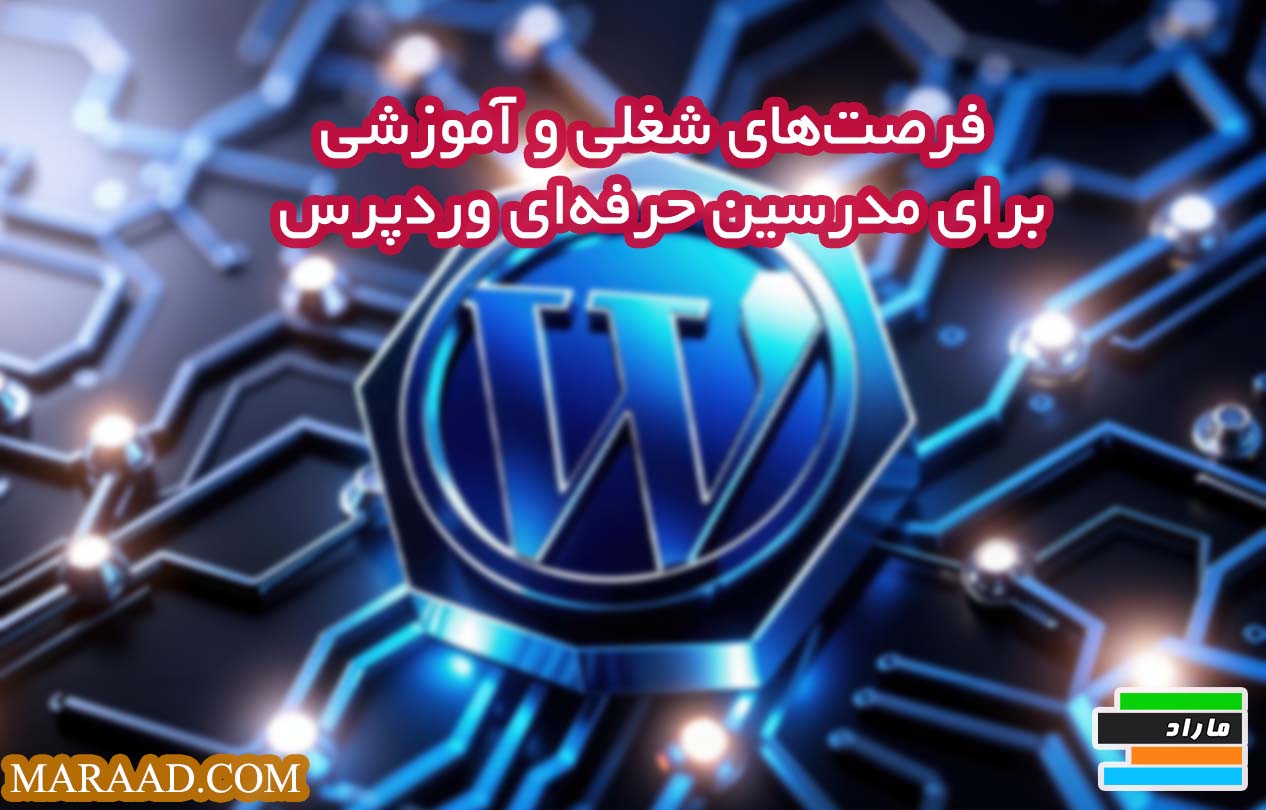 آموزش درآمدزایی از تدریس WordPress