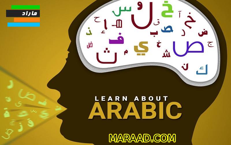 درس عربی دانشگاه