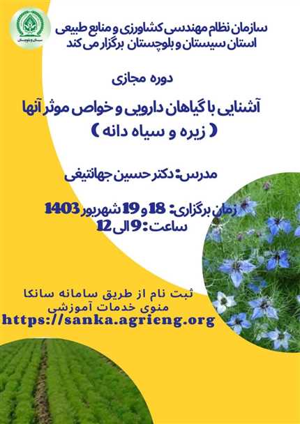 آشنایی با گیاهان دارویی و خواص موثر آنها (زیره و دانه سیاه)